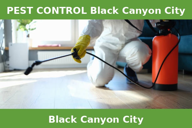 PEST CONTROL Black Canyon City